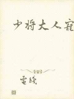 少将大人宠宠我