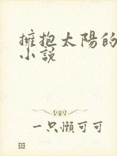 拥抱太阳的月亮小说