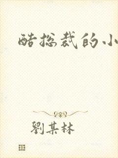 酷总裁的小女佣