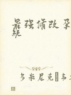 最强修改孕妇系统