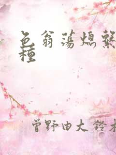 色翁荡熄系列借种