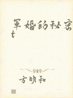 军婚的秘密txt