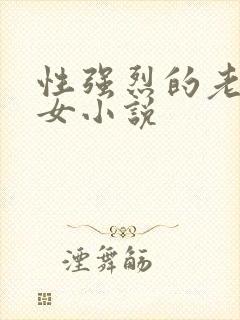 性强烈的老年妇女小说