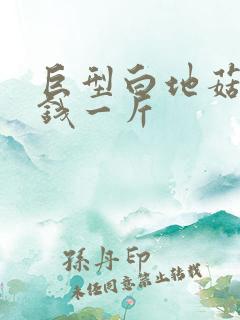 巨型白地菇多少钱一斤