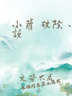 小萝 破除 小说