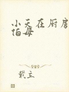 小天在厨房插杨伯母