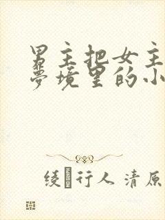 男主把女主拖进梦境里的小说