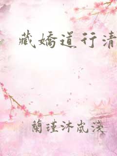 藏娇道行清浅