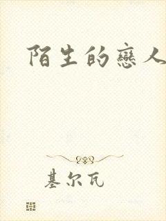 陌生的恋人小说