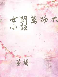 世间万物不及你小说