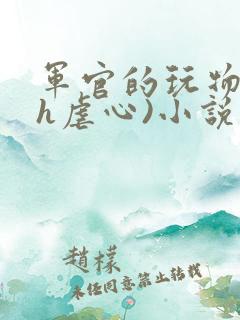 军官的玩物(高h虐心)小说