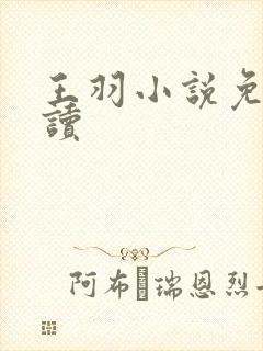 王羽小说免费阅读