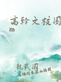 高干文校园bgm