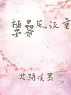 极品风流重生太子爷