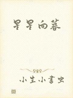 星星向蓉