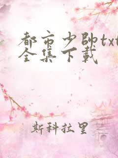 都市少帅txt全集下载