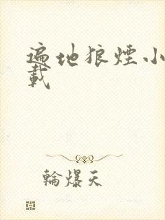 遍地狼烟小说下载