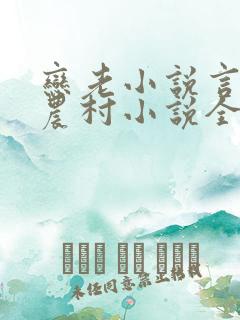 恋老小说言情网农村小说全文阅读