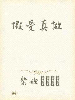 假爱真做