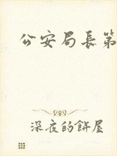 公安局长第四部