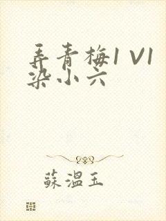 弄青梅1 V1染小六
