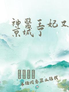 神医王妃又轰动京城了