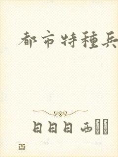 都市特种兵任天