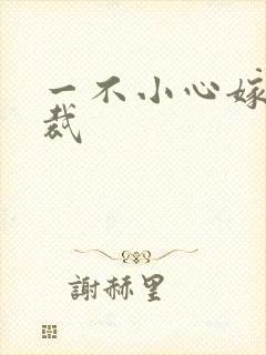 一不小心嫁给总裁