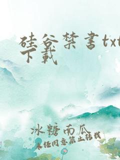 硅谷禁书txt下载