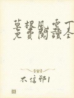 草根风云丁长生免费阅读全本