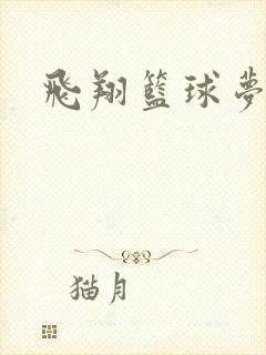 飞翔篮球梦下载