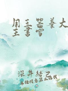 用玉器养大的公主书雪