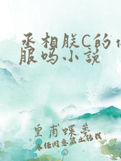 丞相朕C的你舒服吗小说