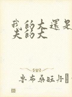 我的大还是你前夫的大