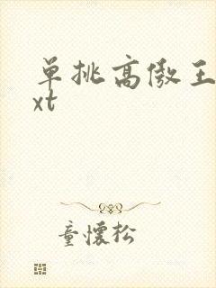 单挑高傲王子txt