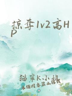 掠夺1v2高HP