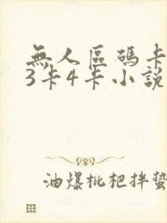 无人区码卡二卡3卡4卡小说