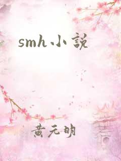 smh小说