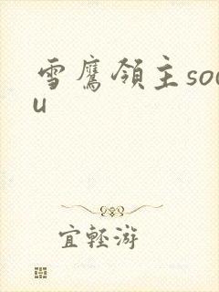 雪鹰领主sodu