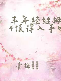 丰年经继拇中文4值得入手吗