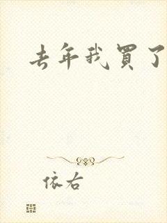 去年我买了个表