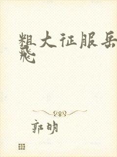 粗大征服岳女双飞