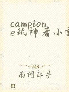 campione弑神者小说