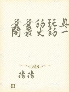 爸爸的玩具笔趣阁最火的一句