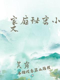 家庭秘密小说全文