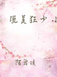 猎美狂少 小说