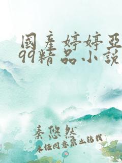 国产婷婷亚洲999精品小说