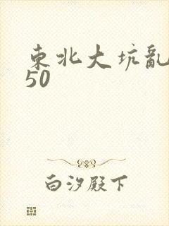 东北大坑乱1—50