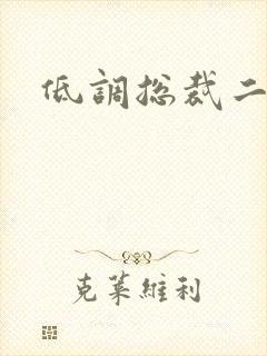 低调总裁二手妻