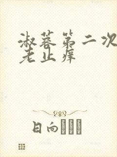 淑蓉第二次找卫老止痒